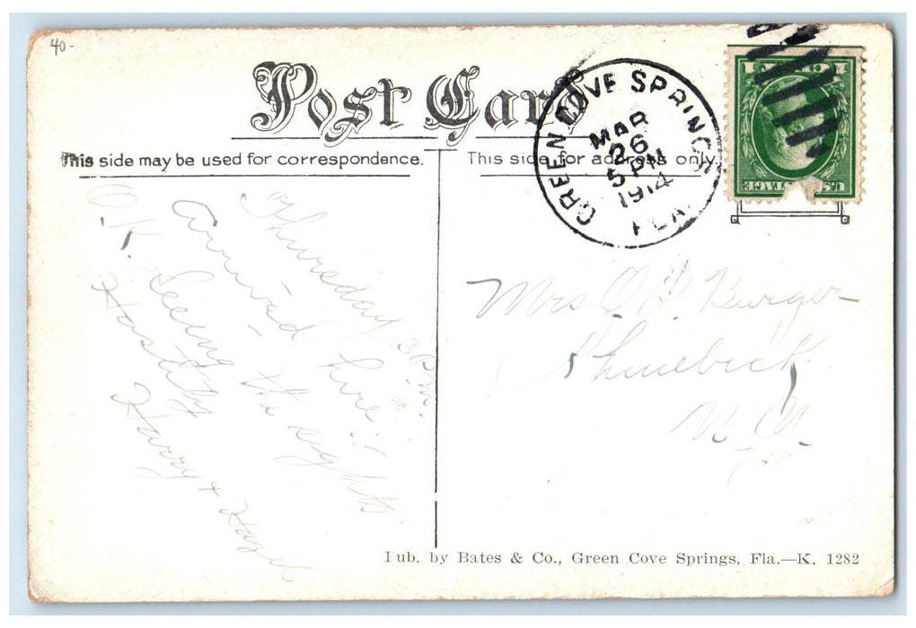 1914 A Street In Green Cove Springs Florida FL, Dirt Road Antique Postcard