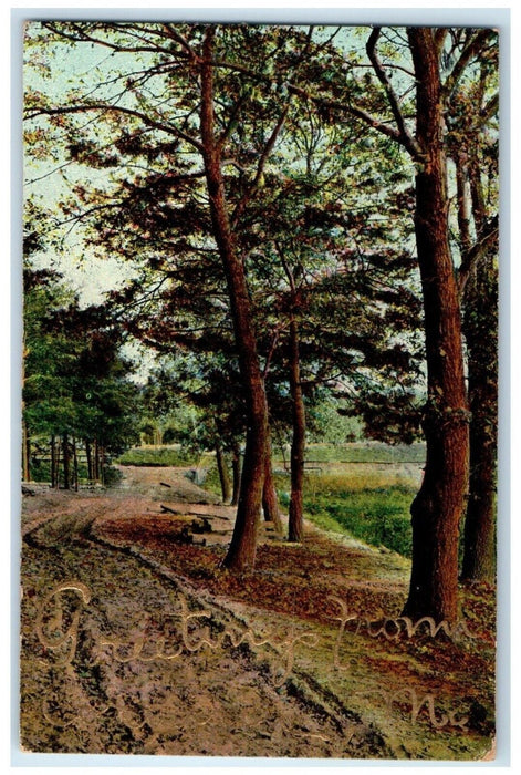 c1910's Greetings From Corinna Maine ME, Dirt Road And Trees Antique Postcard