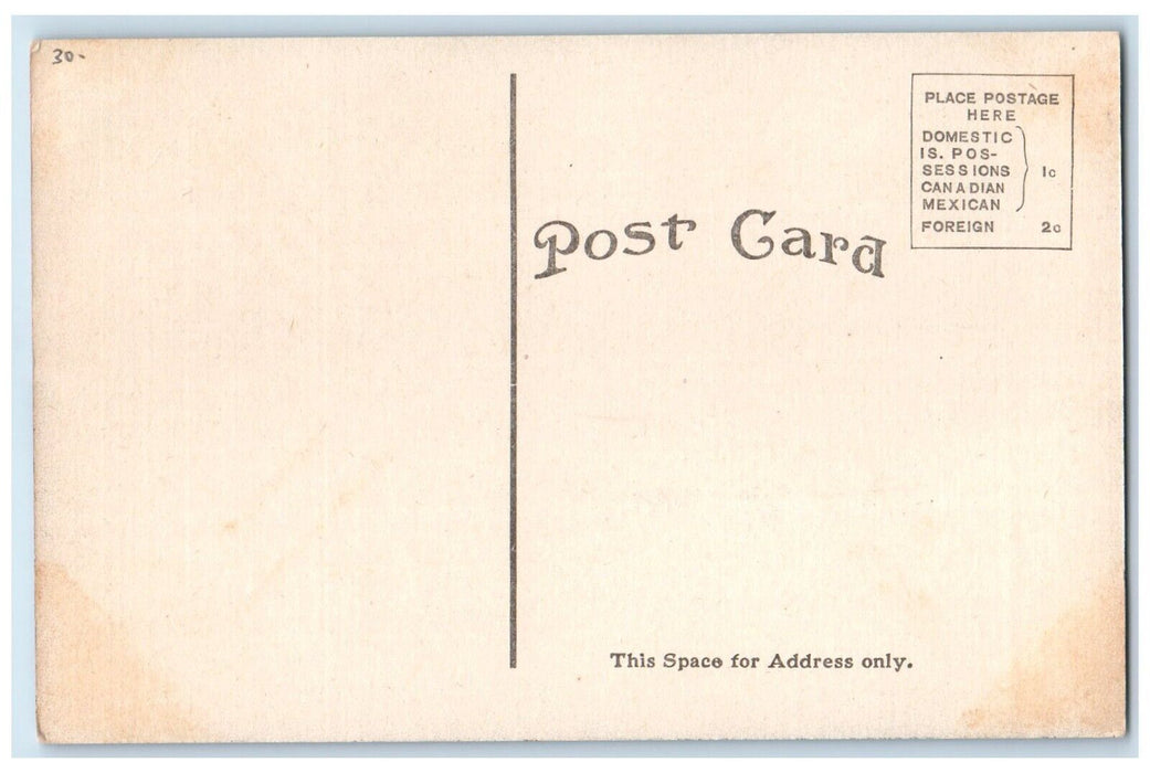 c1910's Steamer Ship Illinois Ludington Michigan MI US Mail Antique Postcard