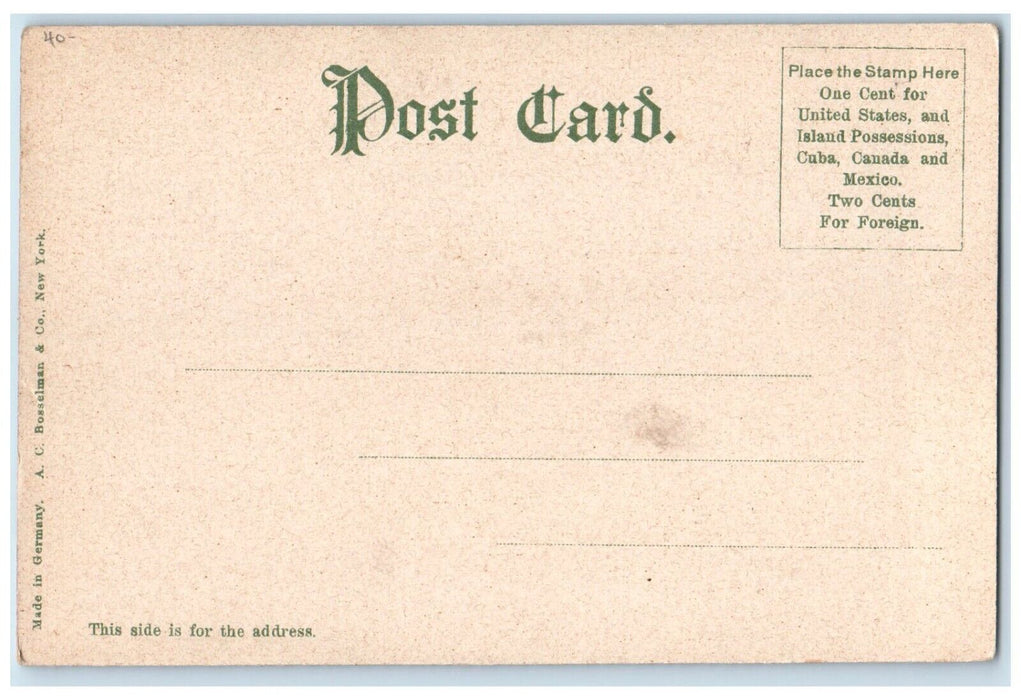 c1905 Training Ship Dorthea In The Harbor Pentwater Michigan MI Antique Postcard