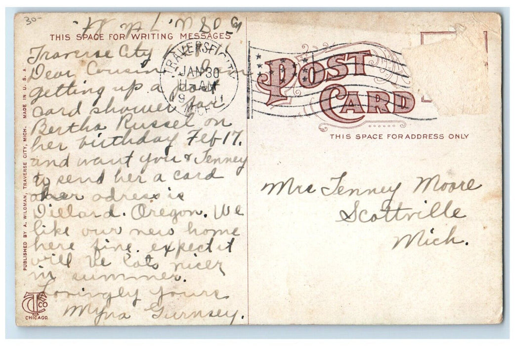 1911 Northern Michigan Asylum Buildings Traverse City Michigan MI Postcard