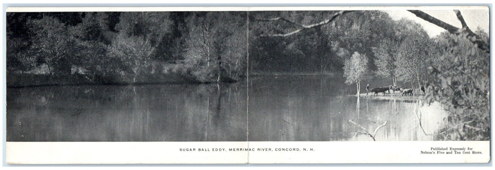 1906 Sugar Ball Eddy Merrimac River Concord New Hampshire NH Antique Postcard
