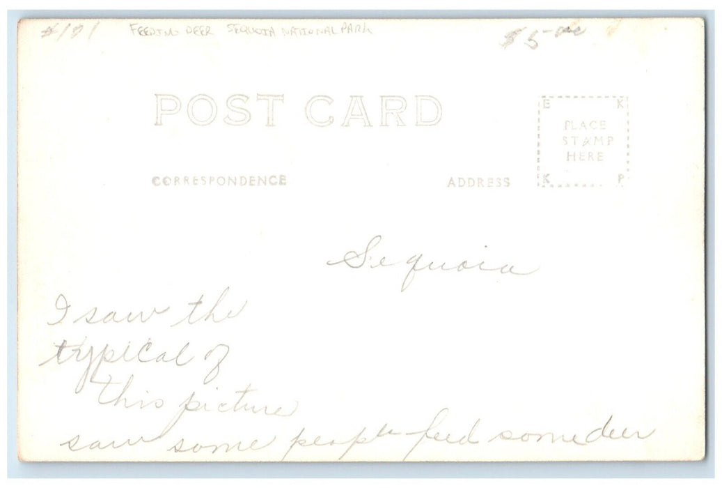 c1940's Man Feeding Deer Sequioa National Park RPPC Photo Vintage Postcard