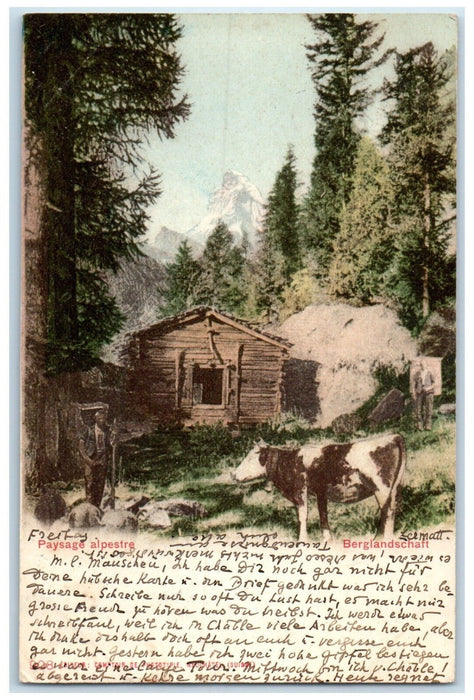1902 Mountain Alpine Landscape Zermatt Switzerland Posted Antique Postcard