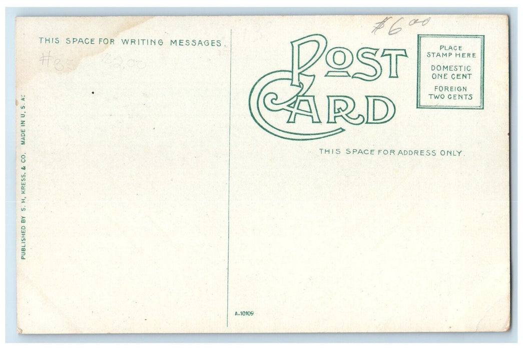 c1910's The Carousal State Fair Grounds Oklahoma City Oklahoma OK Postcard