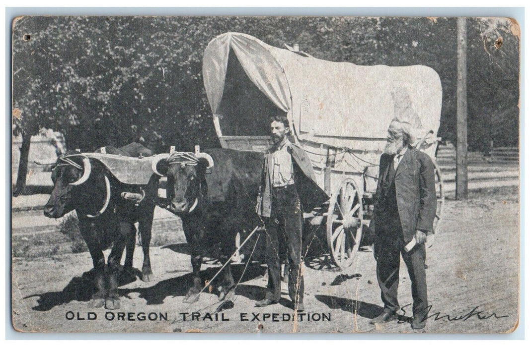 c1905 Old Oregon Trail Expedition OX Pulling Wagon Ezra Meeker Antique Postcard