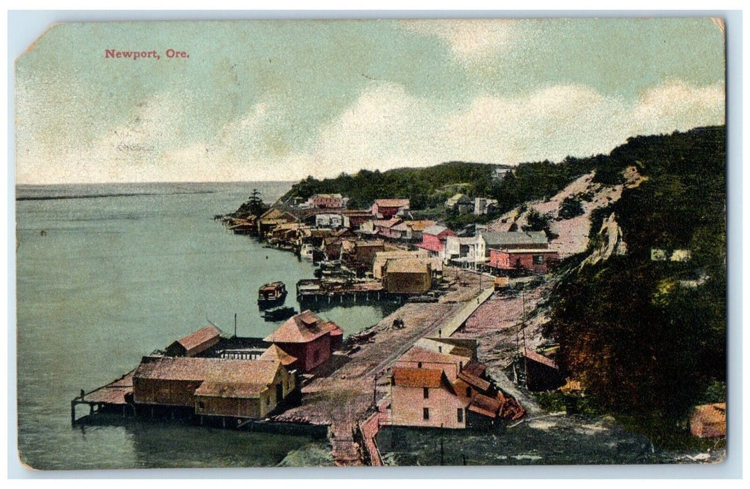 1911 Bird's Eye View Of Newport Lebanon Oregon OR Posted Antique Postcard