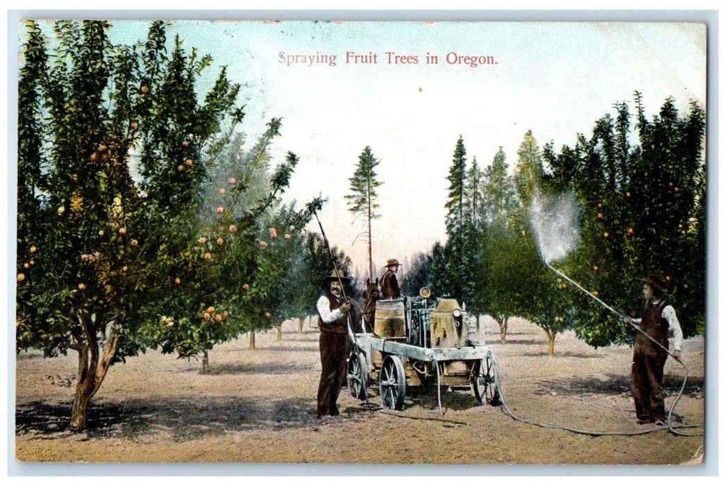 1909 Spraying Fruit Trees Farm In Oregon OR RPO Posted Antique Postcard