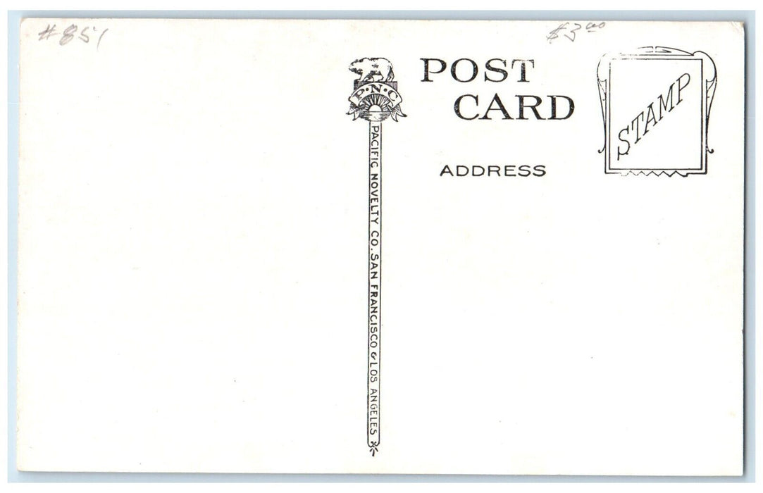 c1910's Hotel Medford Building Street View Dog Medford Oregon OR Postcard
