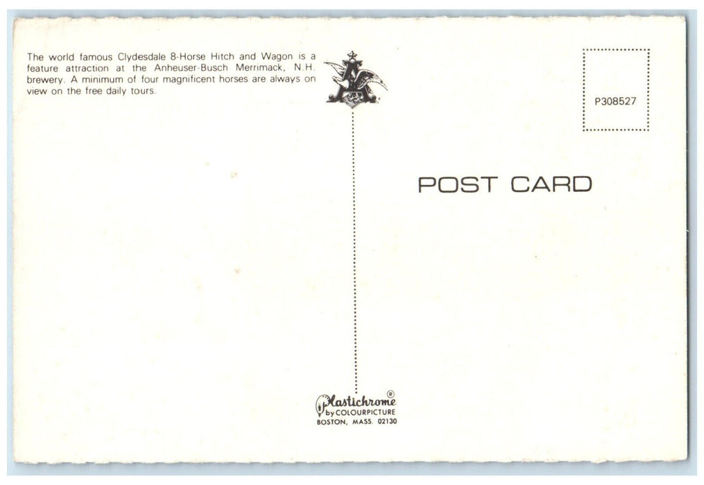 c1950's Cydesdale 8 Horses Hitch And Wagon Anheuser Busch Merrimack NH Postcard