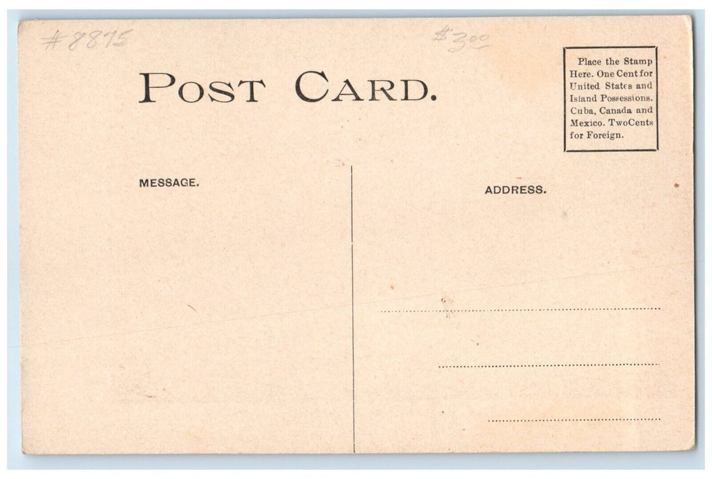 1910 Roadside Hubbard Building Road Street Clayton New York NY Unposted Postcard