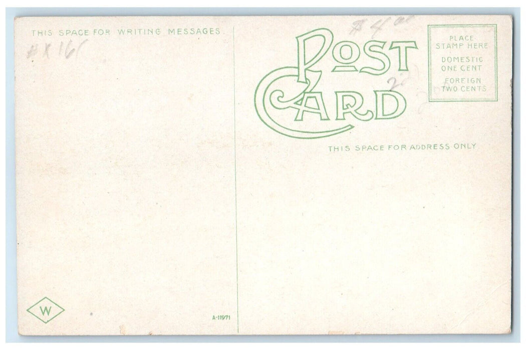 1910 Scenic View City Park Okmulgee Avenue Muskogee Oklahoma OK Vintage Postcard