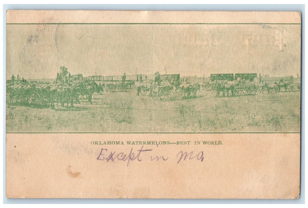 1907 Oklahoma Watermelons Horse Carriage Farming Fruits Oklahoma Posted Postcard