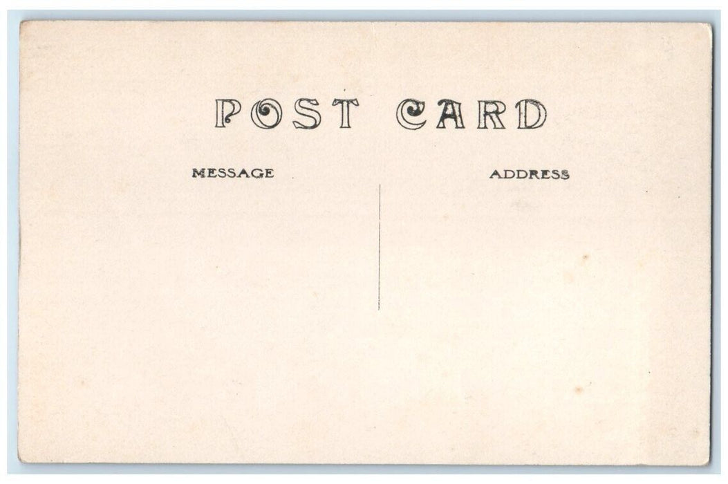 c1910's The Poplars Road View Frontenac Minnesota MN RPPC Photo Postcard