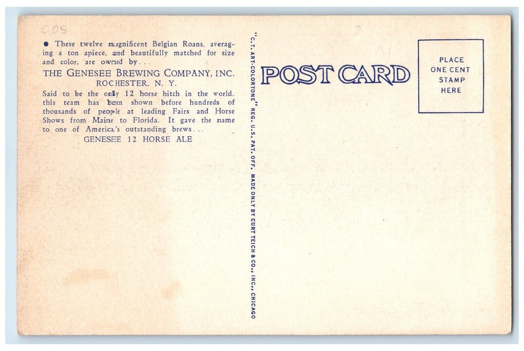 Genese 12 Horse Ale Genessee Brewing Company Inc Rochester New York NY Postcard