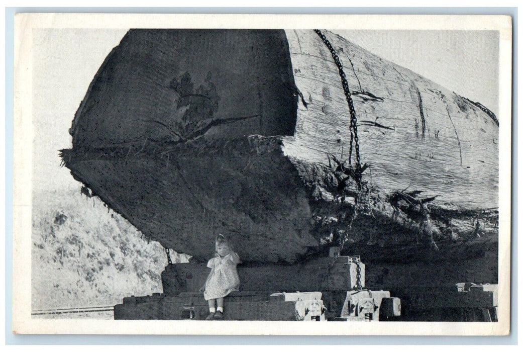 Little Girl Giant Redwood Log Transportation To Sawmill California CA Postcard