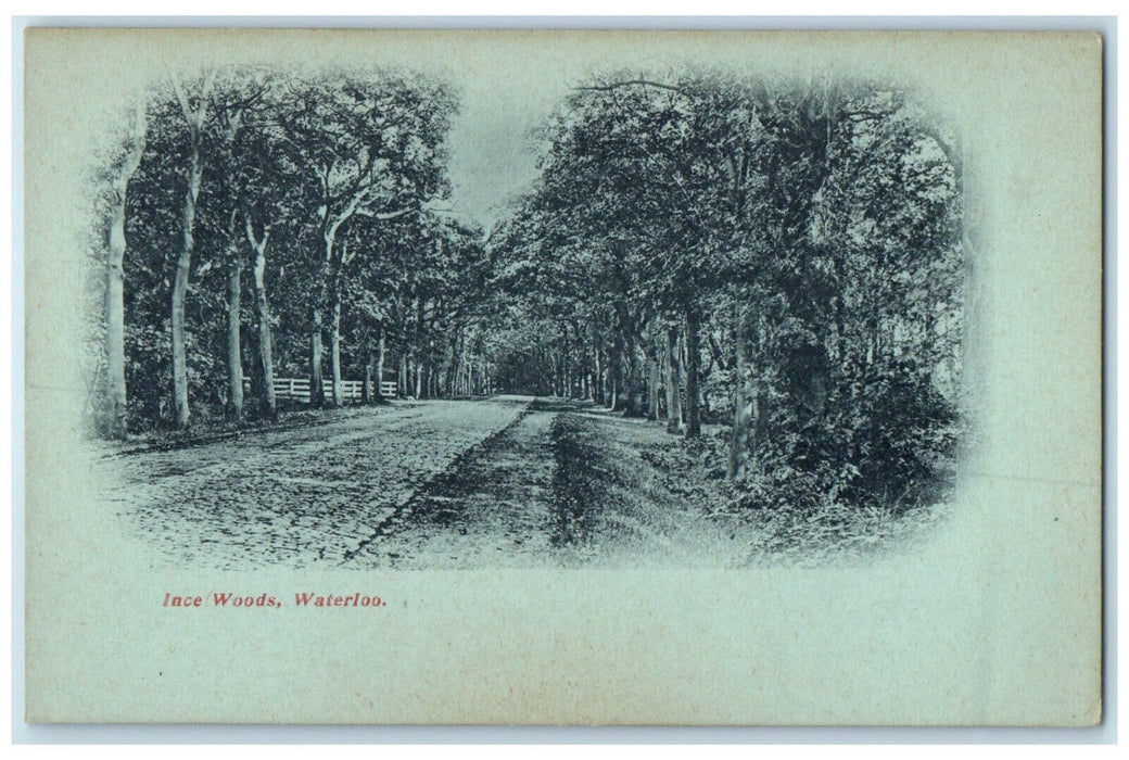 c1905 View of Ince Woods Waterloo London England Unposted Antique Postcard