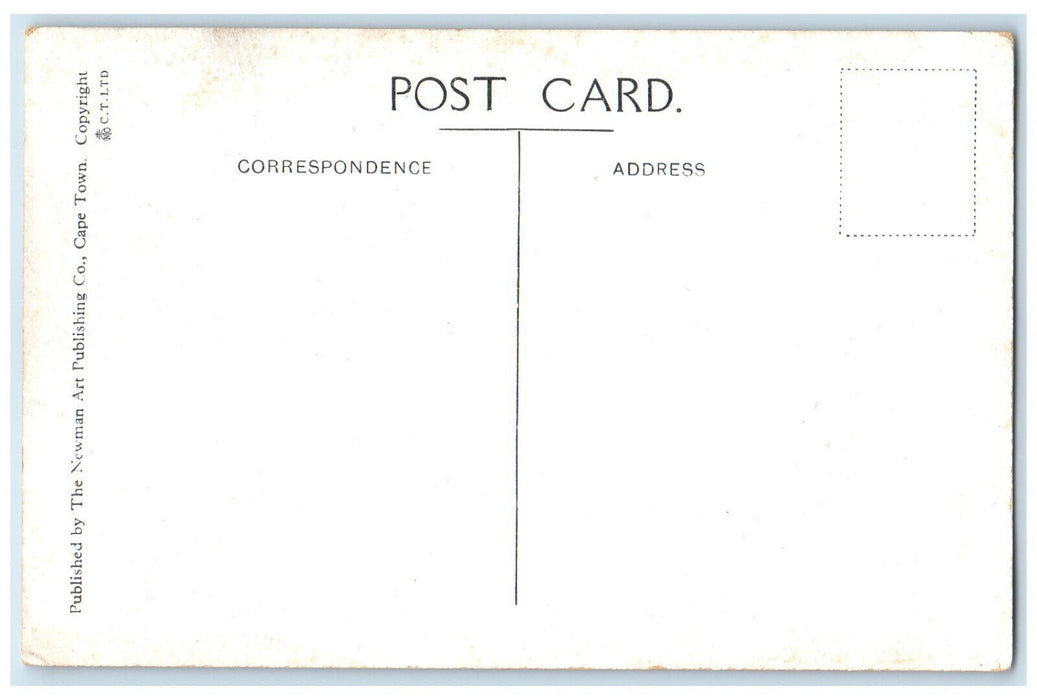 c1920's Amphitheatre Gardens & Hotels Durban South Africa Unposted Postcard