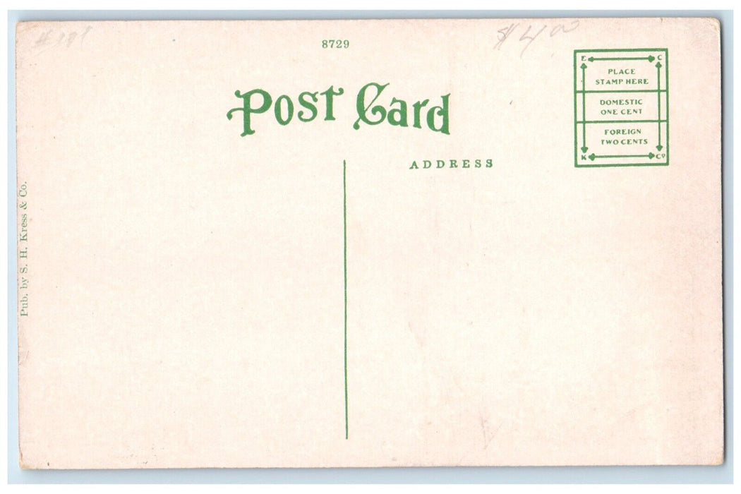 c1920 Early Spring Wheeler Park Sitting Grass Oklahoma City Oklahoma OK Postcard