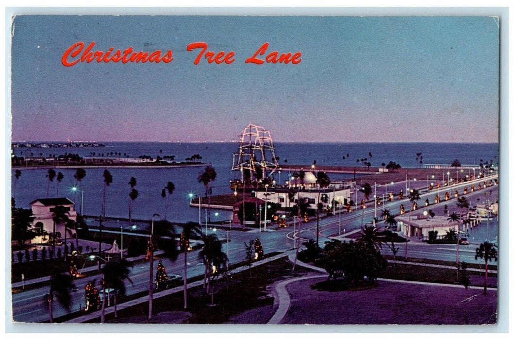 1970 Christmas Tree Lane At Waterfront Park St. Petersburg Florida FL Postcard