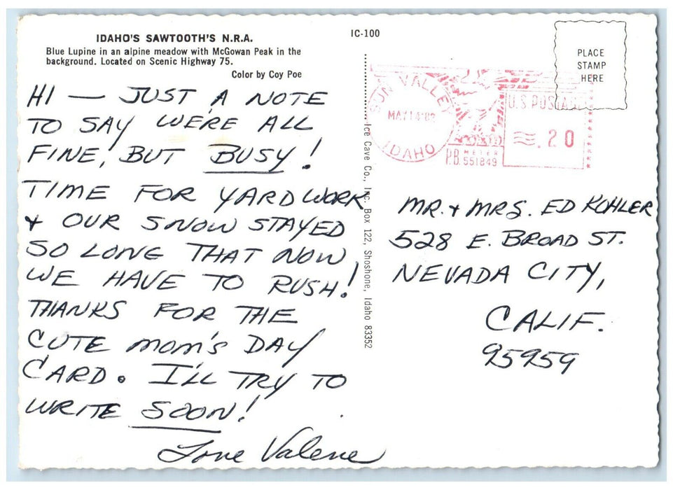 1982 Idaho's Sawtooths National Recreational Area Blue Lupine McGowan Postcard