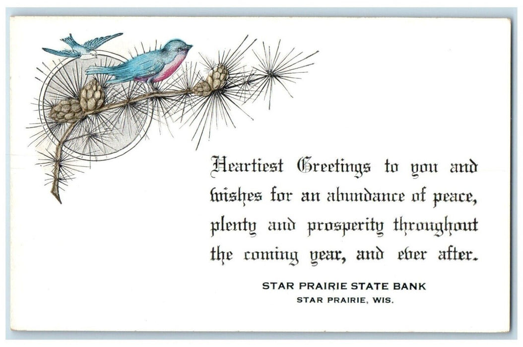 c1905 Heartiest Greetings Birds Pinecone Star Prairie State Bank WI Postcard