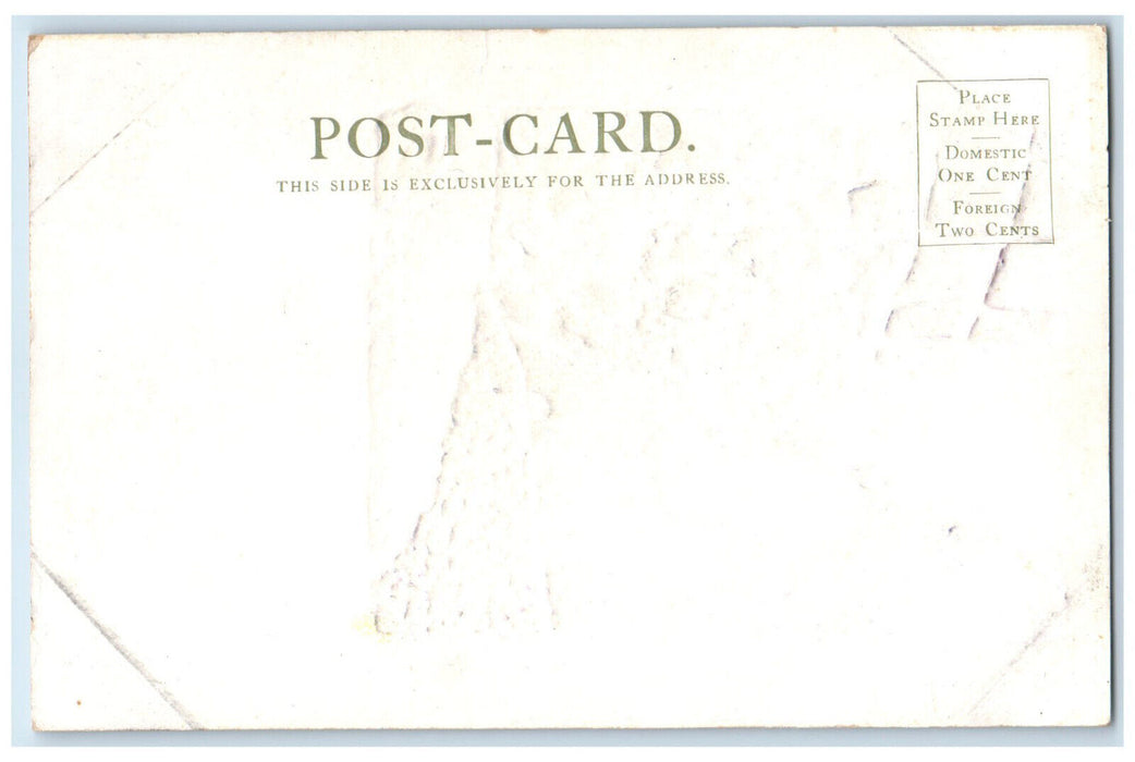 1906 Second Tunnel Canon of the Grand Colorado CO Embossed Unposted Postcard