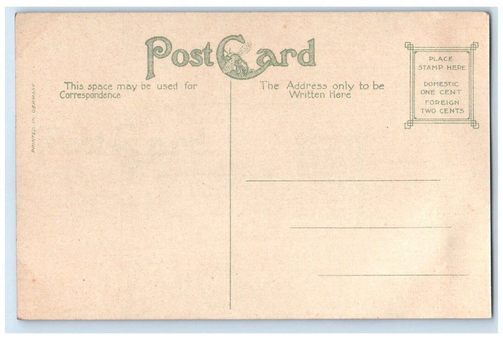 c1910 Belmont College Nashville Tennessee TN Antique Unposted Postcard