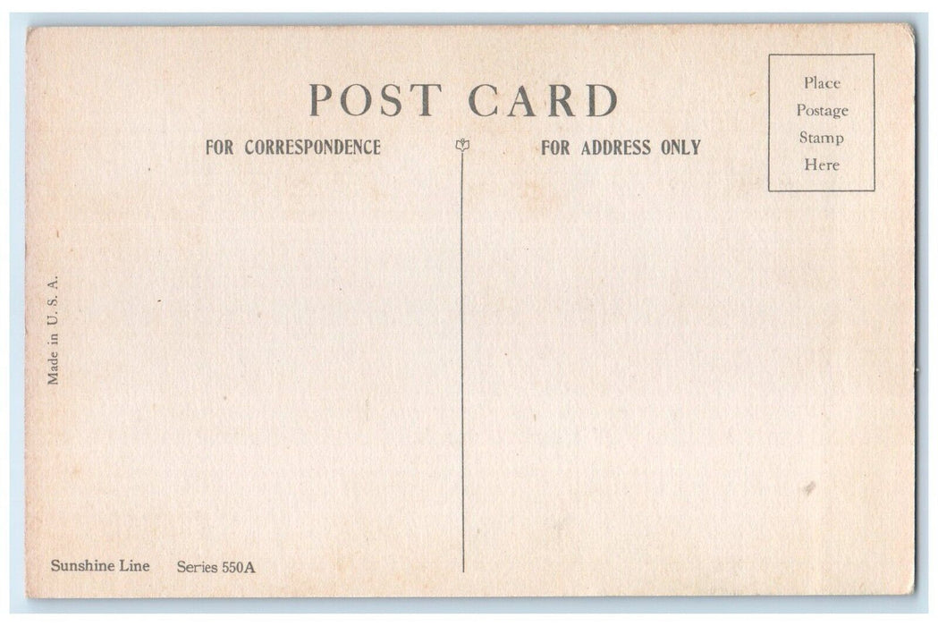 c1910's A Get Well Wish Girls And Dog Sat On Bench Unposted Antique Postcard