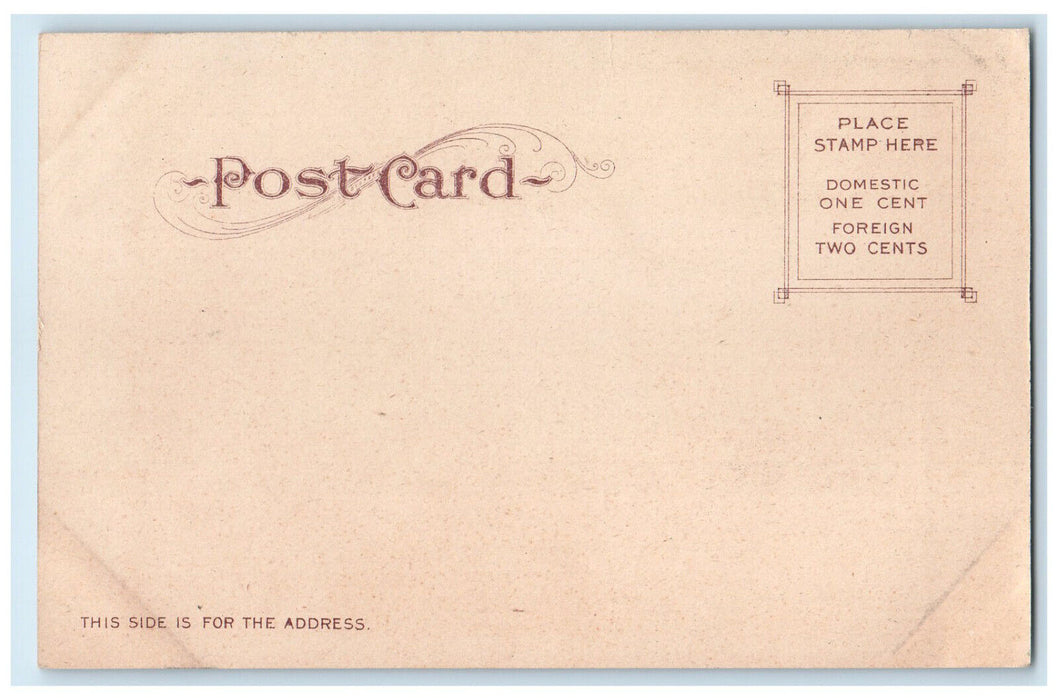 1906 Arch Rock Santa Catalina Island California CA Antique Postcard