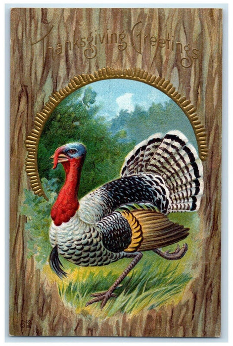 c1910's Thanksgiving Greetings Turkey Embossed Unposted Antique Postcard