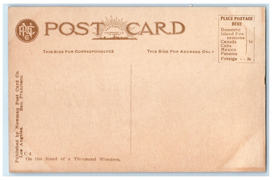 c1910 On The Trail to the Summit Mt. Lowe California CA Antique Postcard