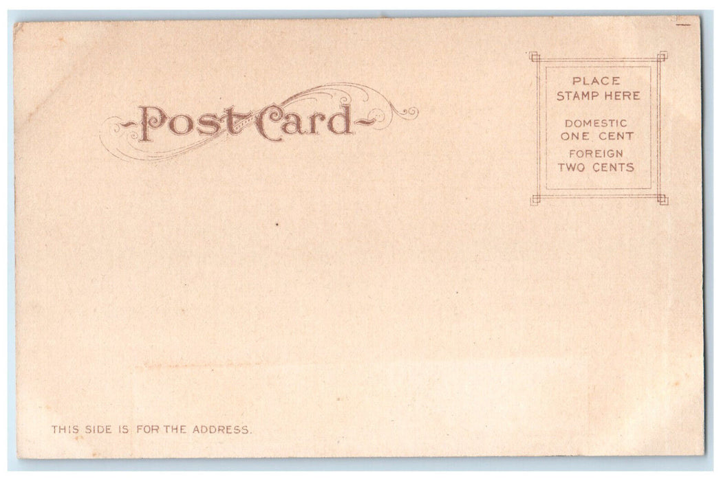 1906 Ye Alpine Tavern Mt. Lowe Railway California CA Antique Postcard
