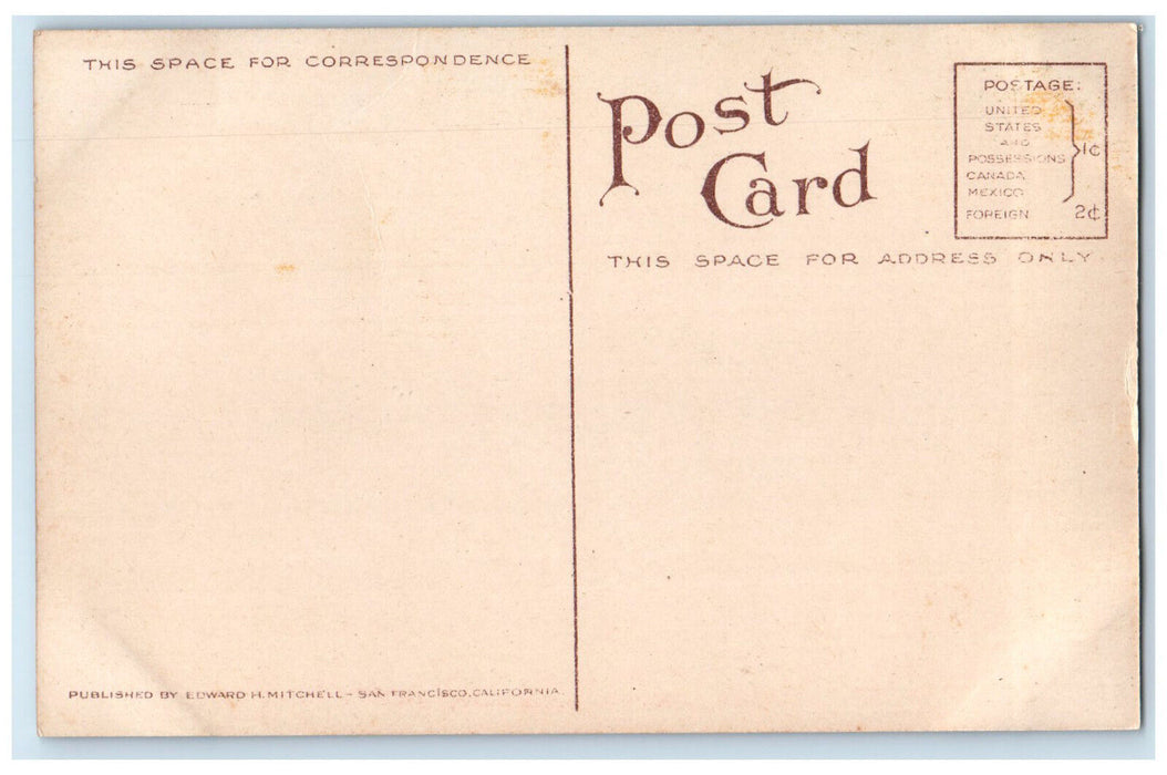 c1910 Stairs to Mt. Lowe Railway Ye Alpine Tavern California CA Postcard