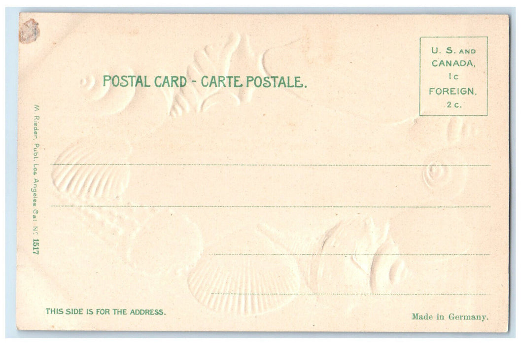 1906 Different Kinds of Shell Boat Ships at San Diego CA Embossed Postcard