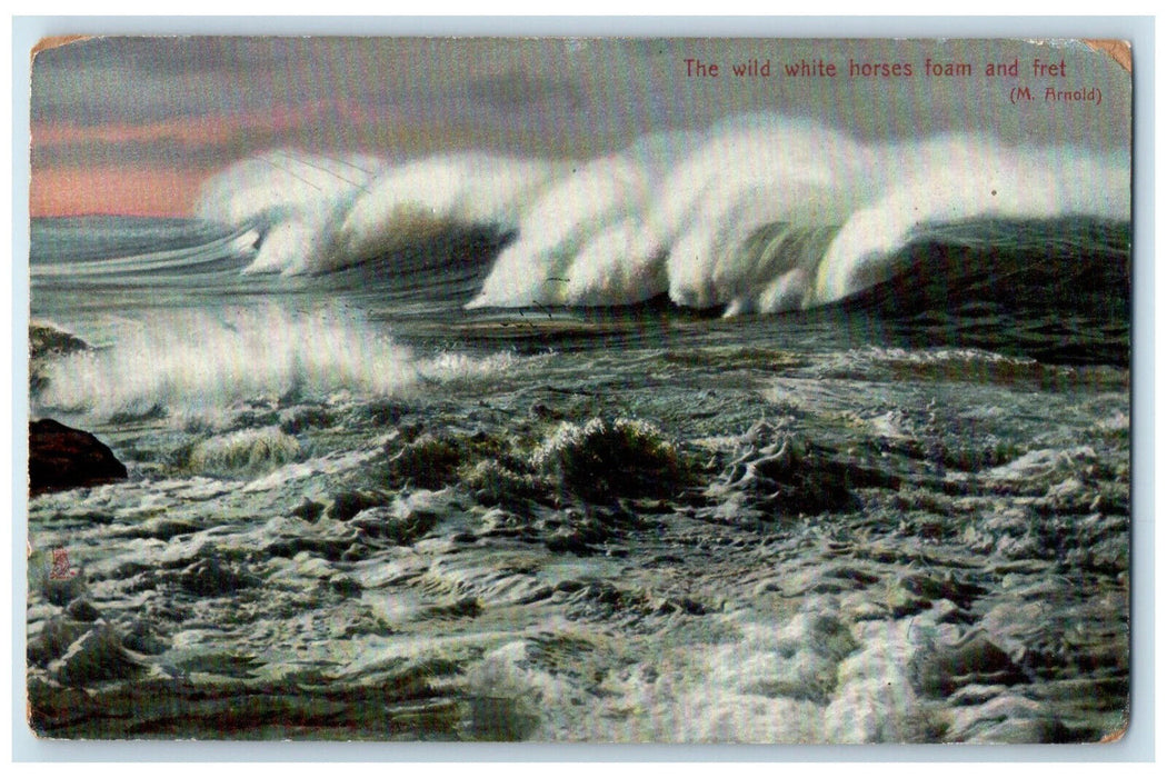 1909 The Wild Horses Foam and Fret Rapholette Tuck Art Levant Smyrna Postcard