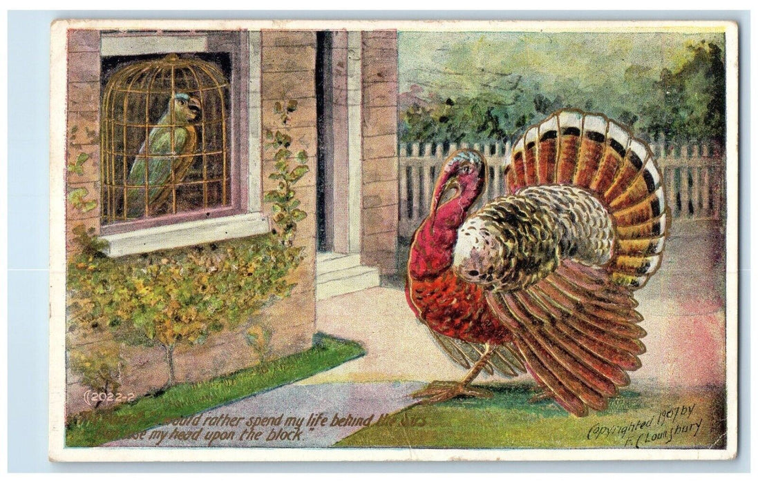 1908 Thanksgiving Turkey And Parrott In The Cage Embossed Franklin MA Postcard
