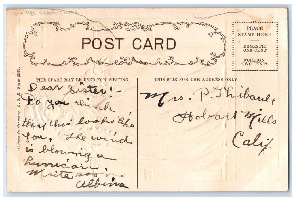 c1910's Thanksgiving Grandma Welcome HBG Embossed Hobart Mills CA Postcard