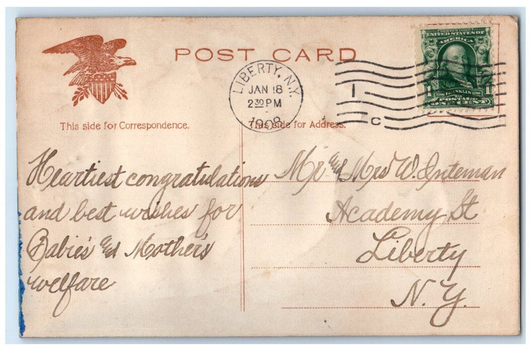 1908 Hearty Congratulations Stork Baby Airbrushed Liberty NY Antique Postcard