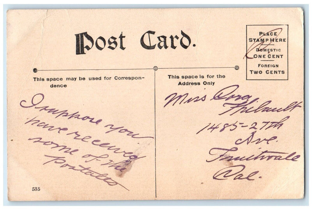 c1910's Rat Mouse Trapped Cage My Wife Won't Let Me Posted Antique Postcard