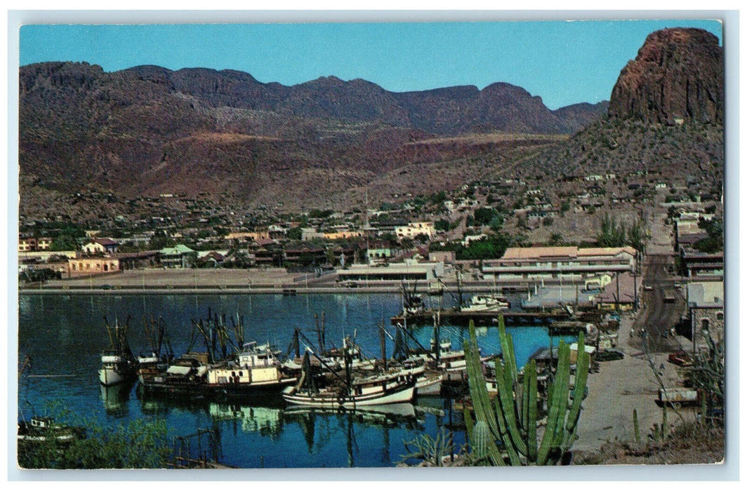 c1950's Small Portion of Guaymas Shrimp Fleet Sonora Mexico Postcard