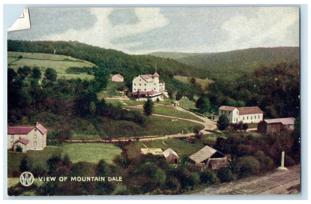 c1907 Scenic View Houses Trees Mountain Dale New York Unposted Antique Postcard