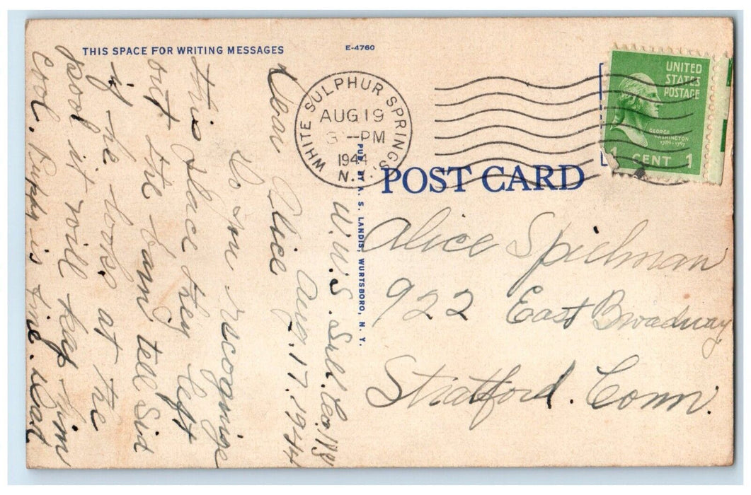 1944 Aerial View Hotel Leona White Sulphur Springs Sullivan Co New York Postcard