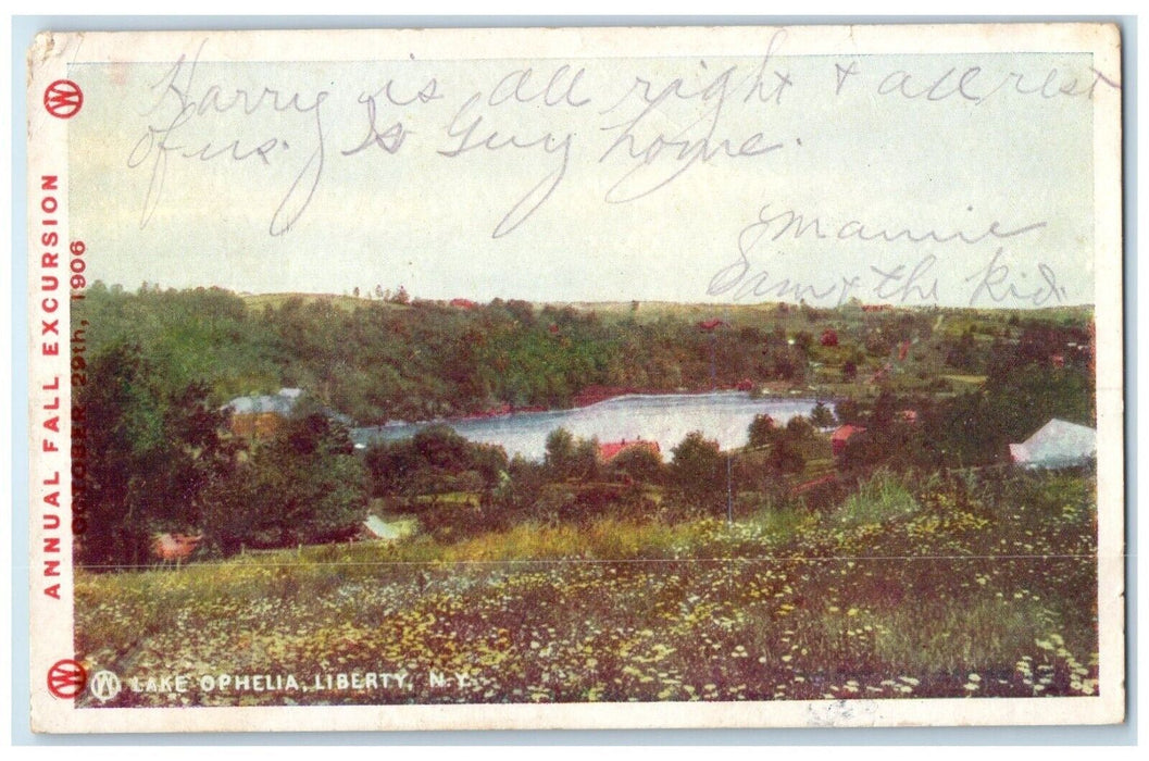 1906 Scenic View Lake Ophelia Trees Buildings Liberty New York Posted Postcard