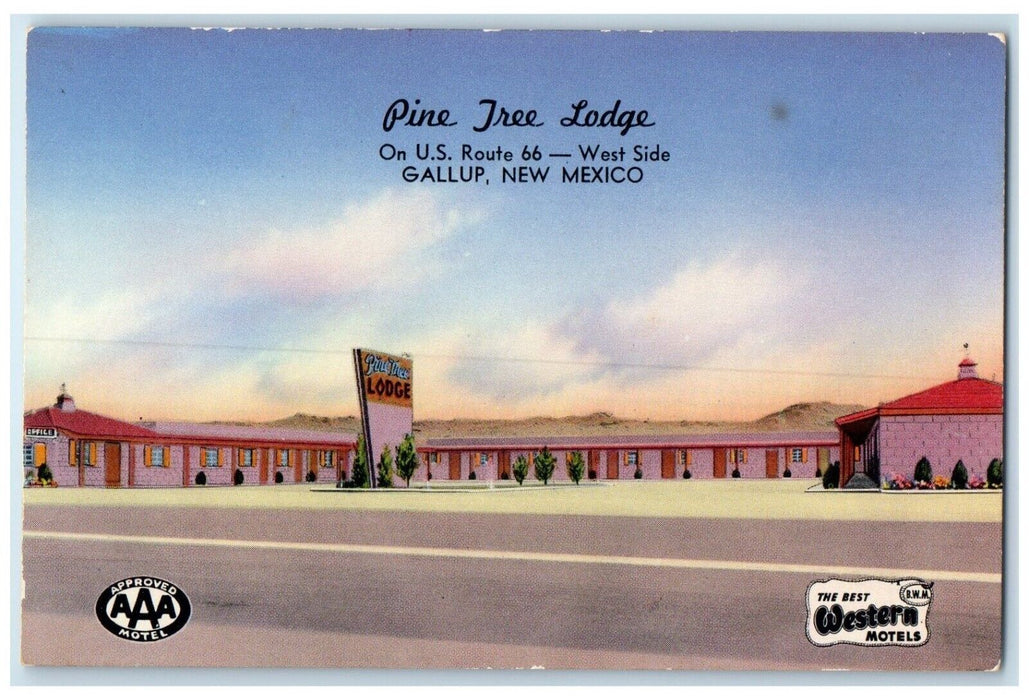 c1950's Pine Tree Lodge Motel Roadside Gallup New Mexico NM Vintage Postcard