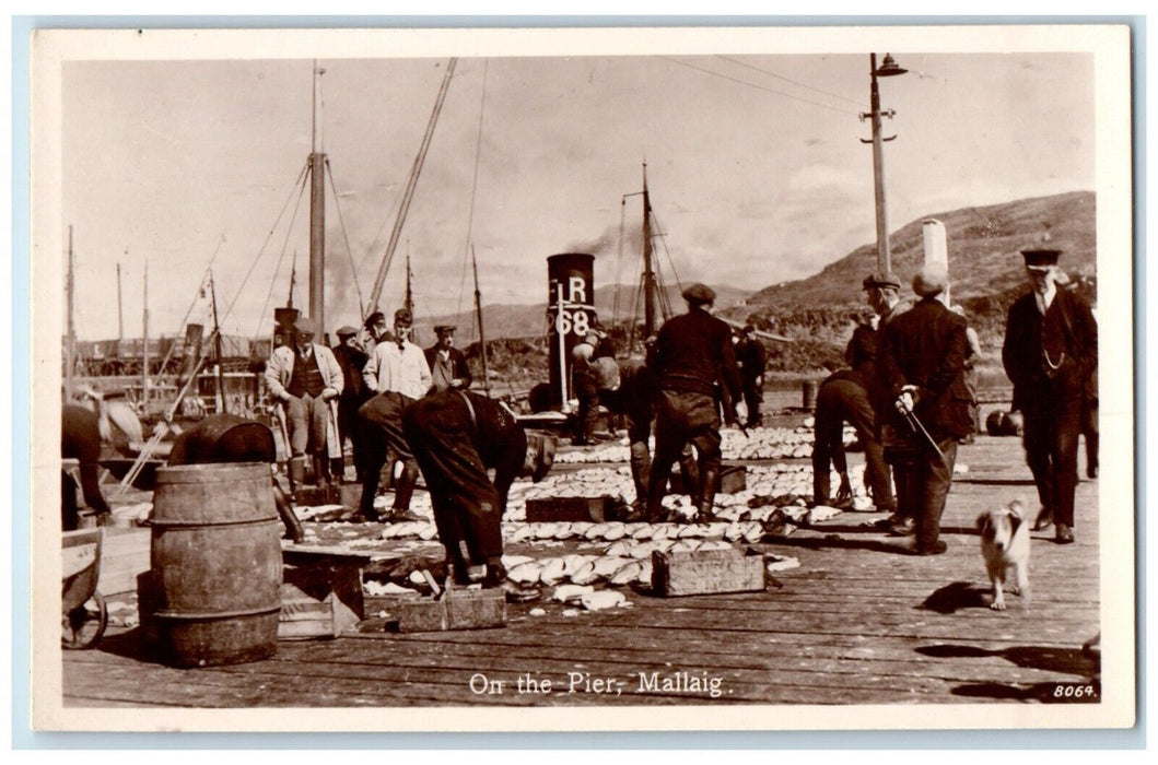 On The Pier Mallaig Herring Port England United Kingdom UK RPPC Photo Postcard