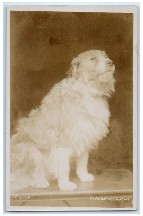 c1910's Lassie Dog Studio England United Kingdom UK RPPC Photo Antique Postcard
