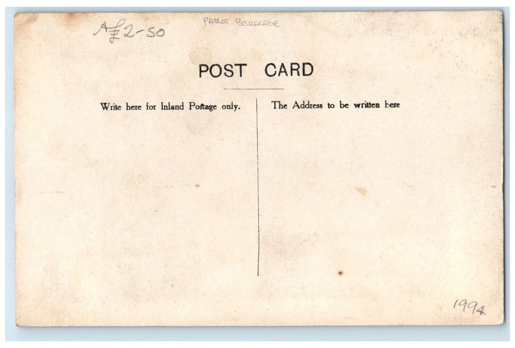 c1910's Parrot Birdcage England United Kingdom UK RPPC Photo Antique Postcard
