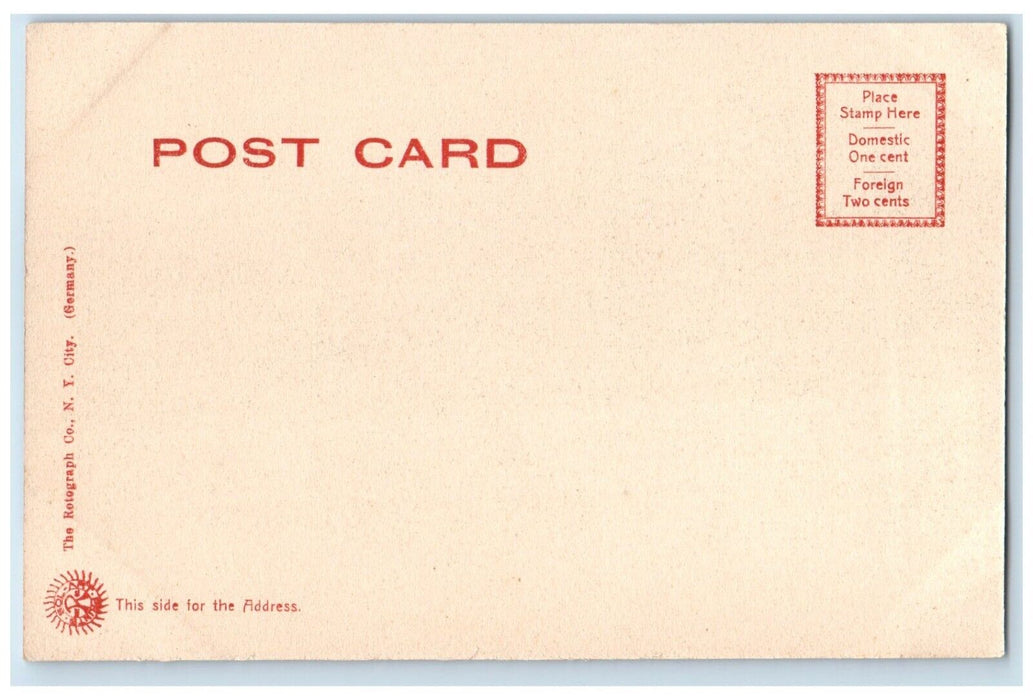 1905 View Snyder Park Trees Flowers Garden Springfield Ohio OH Unposted Postcard