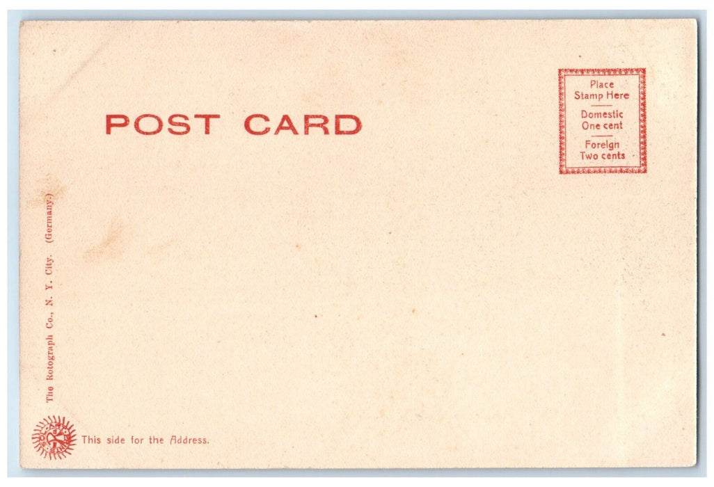 c1905 View Snyder Park Lake River Springfield Ohio OH Vintage Antique Postcard